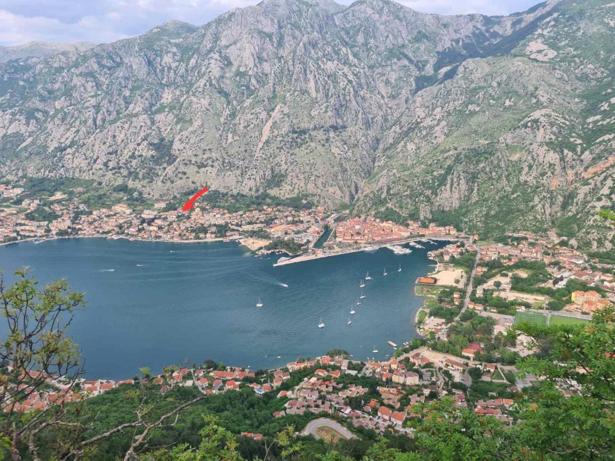 Appartement Lazarevic Kotor